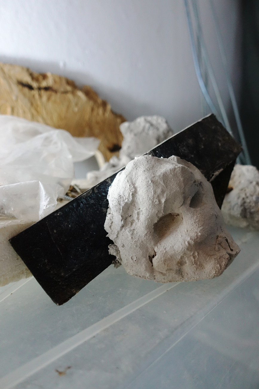 stay hungry - Mahlzeit @ WRG Sensor Michel Aniol Meike Kuhnert Mobile Menu