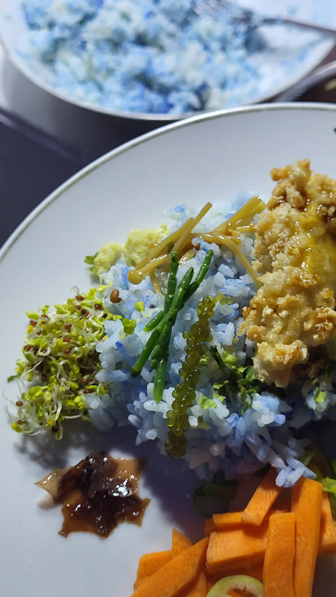 stay hungry Mobile Menu 22 Symbiotic Meal @ Scotty Space Berlin