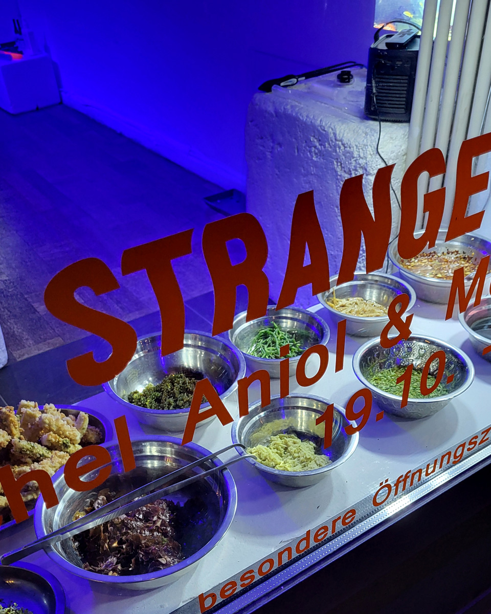 stay hungry Mobile Menu 22 Symbiotic Meal @ Scotty Space Berlin